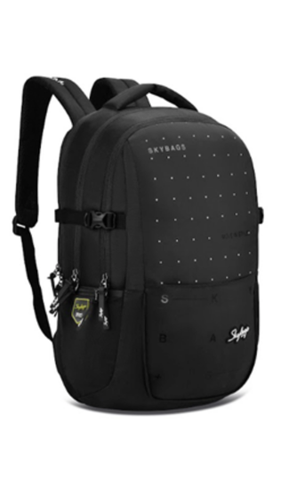 VIP SKYBAGS ARCTIC LAPTOP BACKPACK