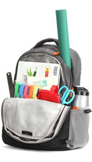 VIP SKYBAGS CENTURY LAPTOP BACKPACK