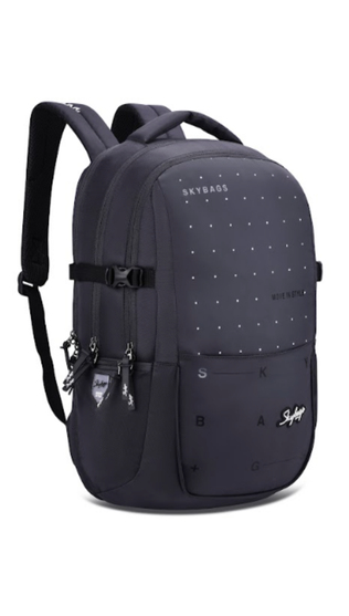VIP SKYBAGS ARCTIC LAPTOP BACKPACK